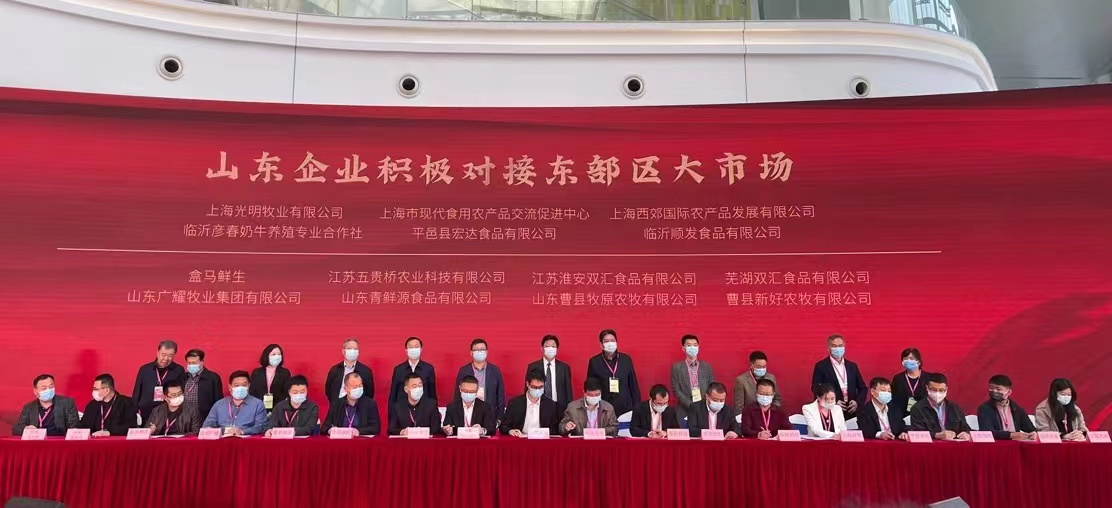 杏宇娱乐官方网站图片
