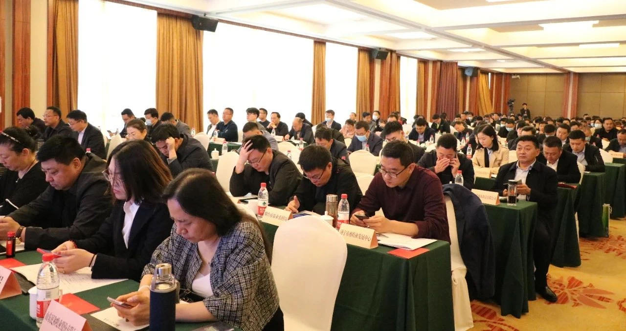 杏宇娱乐官方网站图片