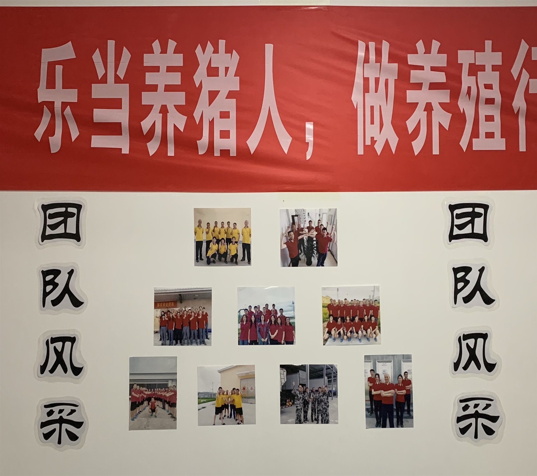 杏宇娱乐官方网站图片