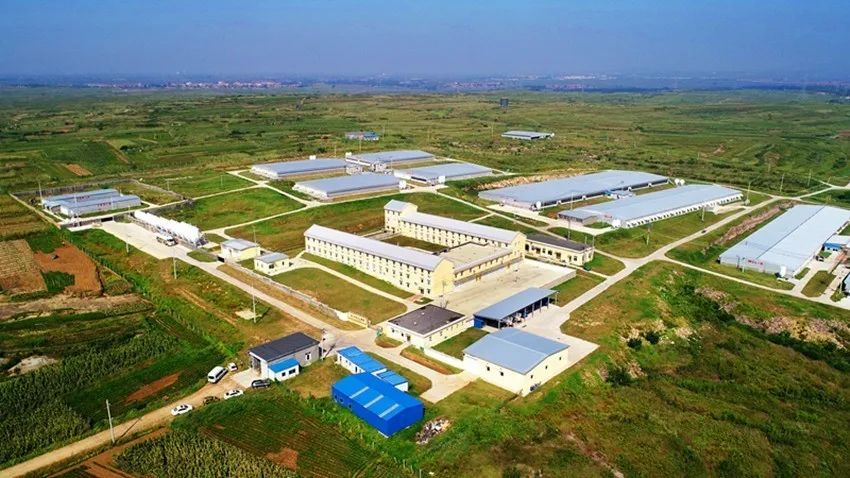 杏宇娱乐官方网站图片
