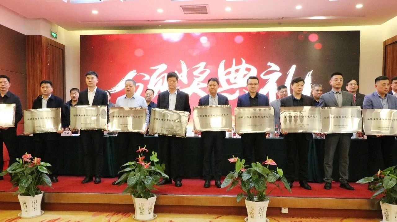杏宇娱乐官方网站图片