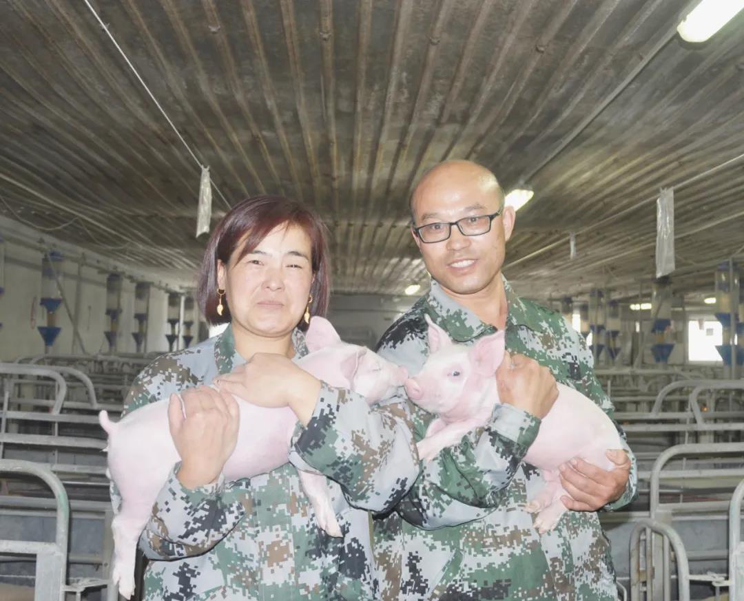 杏宇娱乐官方网站图片