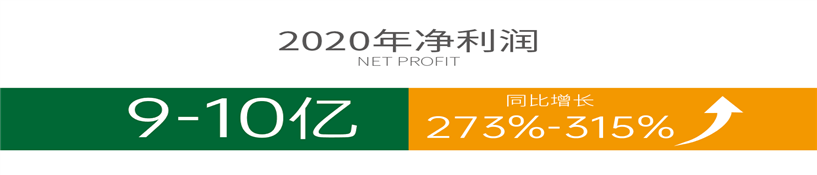 杏宇娱乐官方网站图片