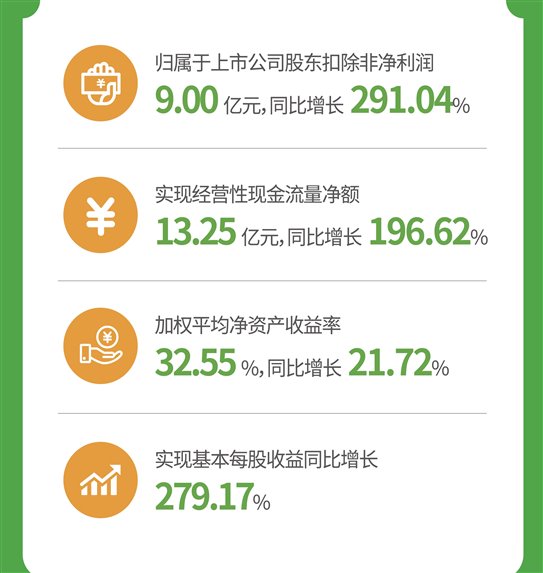 杏宇娱乐官方网站图片